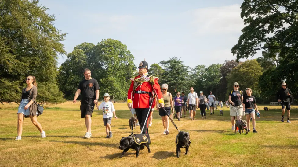 Big Staffy Stroll