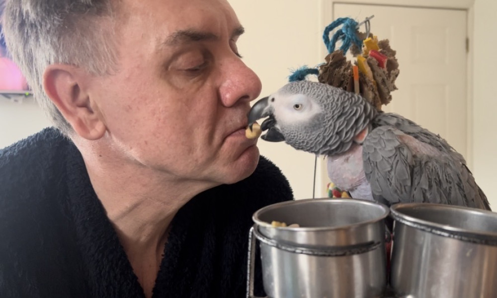 Congleton parrot heads up campaign